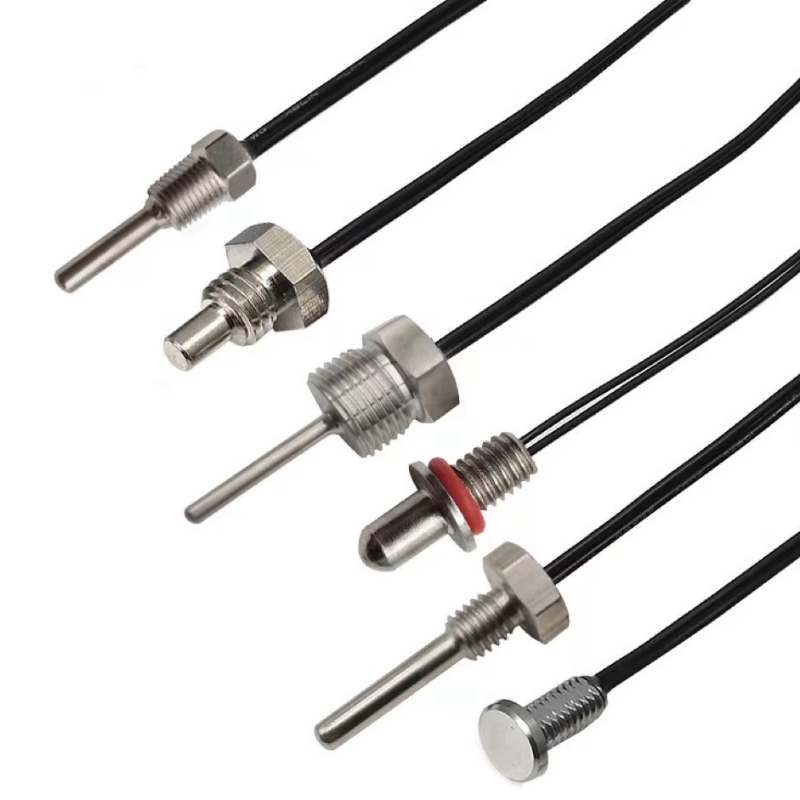 thermistische thermistor sonde